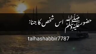 Saqib Raza Mustafai