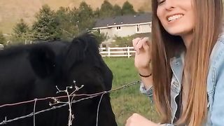 Wow this cow