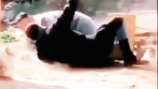 Funny video