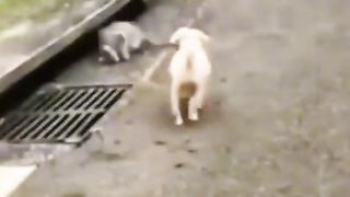 missed a little