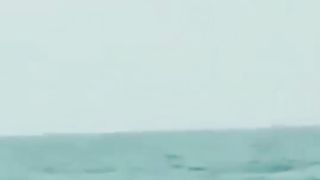 fish jump sky