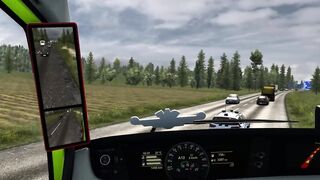 IDIOTS on the road