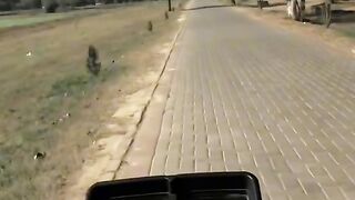 LaHoRe 3