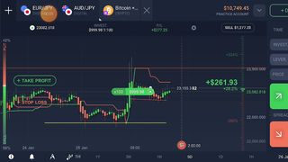 IQ Option Traders