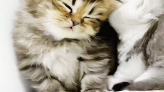 Very cute style