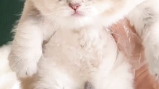 So cute