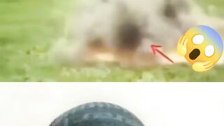 Miracle of Allah #shorts#islamicshorts
