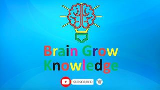 Amazing information Urdu quiz