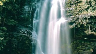 beauty of nature