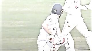 New funny cricket