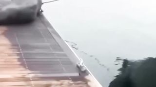 வெளிய போடா அயோக்கிய ராஸ்கல்