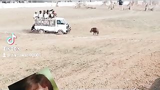 Funny