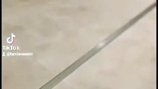 Pizza lovers