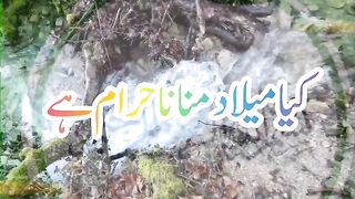 Kia melad manana Haram hye