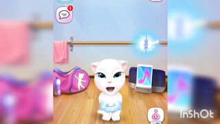 beautiful cat video