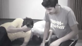 Funny video #febspot