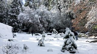 Snowball Fight