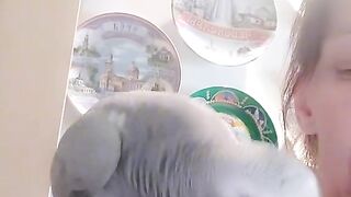 Parrot talker.