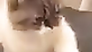 Funny cat