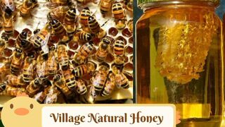 My village natural honey, Natural honey, Best desert ever