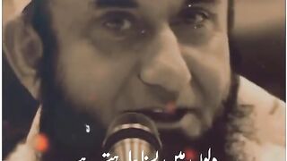 Tariq jameel
