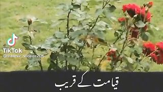 Islmic video
