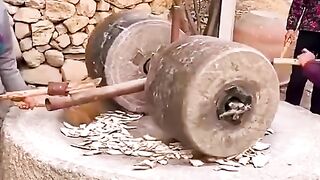 How to wheat maize with old tools