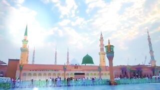 Whatsapp video status