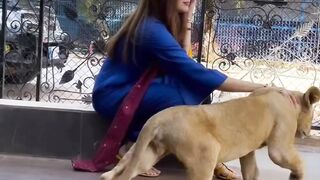 Azikeh Dainel Playing with Lion Cubs