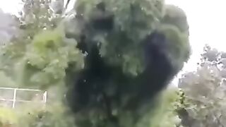 Amazing