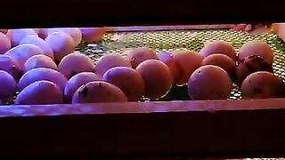 chicks care