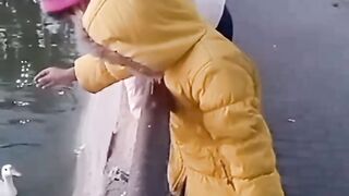 Feed the birds!
