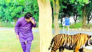 Animal Vfx Magic Funny Video