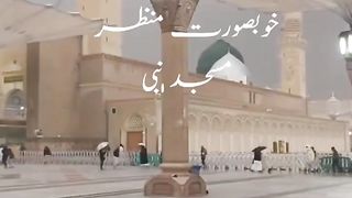 Recitation qaran// islamic video//shorts//trendinh