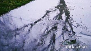The Gentle Dance of Rain