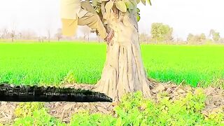 Vfx Animal Magic Funny Video