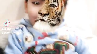 Ahmad tiger fun effect