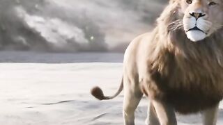 Holltwood Movie Clips||Movie Clips||New action movie