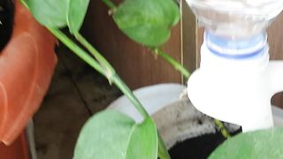 indoor gardening01