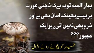 Hmara Almiya Ye Hai Ke Naachti Aurat ? Best Urdu Quotes | Best Urdu Quotes Collection |