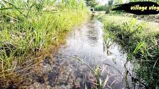 Village vlog video best video