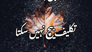 انسان کتنا ہی کیوں نہ امیر ہو جائے sad poetry
