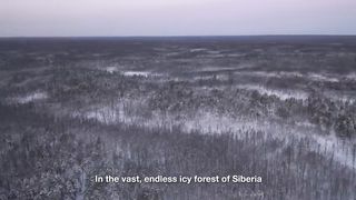 Living Alone in the Wild Siberian Forest for 20 years (-71°C, -96°F) Yakutia