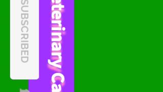 Veterinary Channel