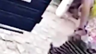 Funny Dog Videos 2022