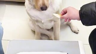 Best 2023 Funny Clips|| If You Like Follow me