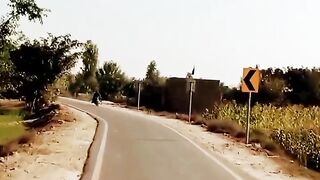 Carpet Road