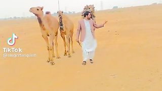 New song