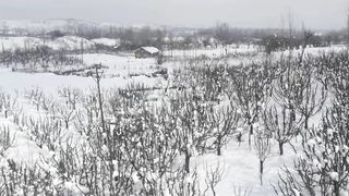 Snowfall Aftermath | #Snowfall # Winter #Gulmarg
