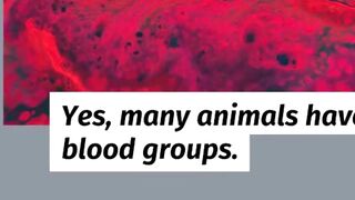 did you know this before?